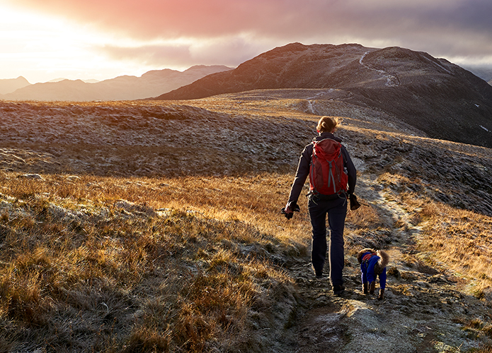 Coaching for Health & Performance